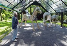 Ogród i galeria prof. Adama Myjaka, Foto Wiktor T. Nowotka