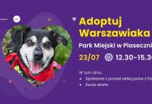 adoptuj warszawiaka, plakat akcji ze zdjęciem psa.