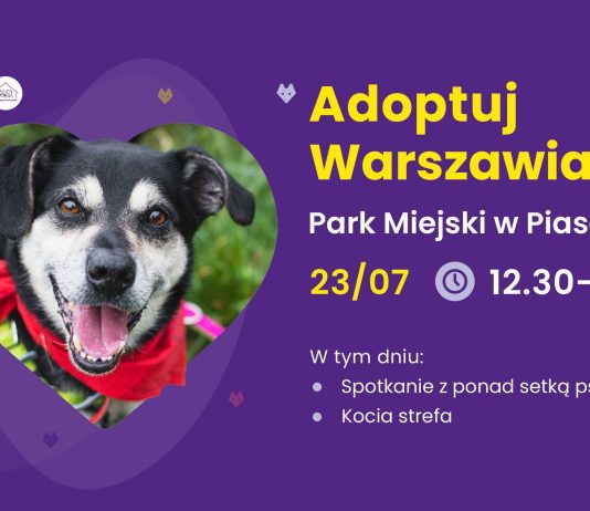 adoptuj warszawiaka, plakat akcji ze zdjęciem psa.