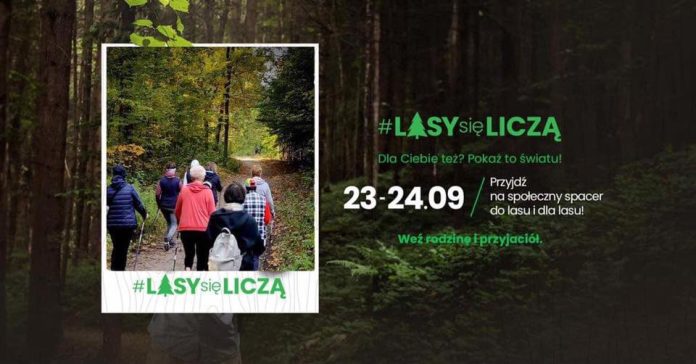Leśny Nordic Walking w Lasach Chojnowskich
