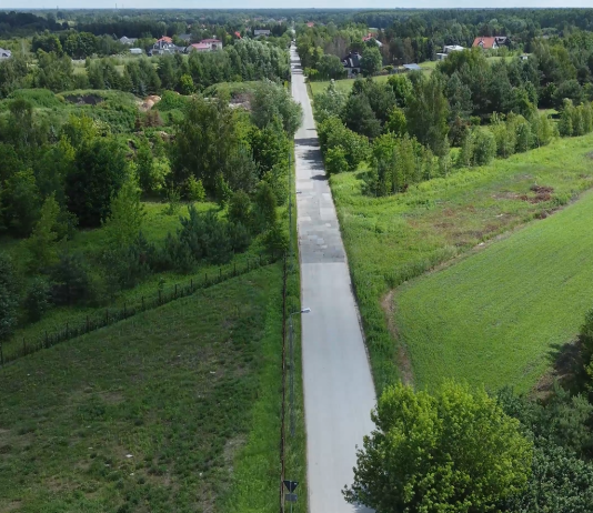 Ptaków Leśnych