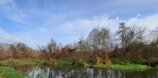 Jeziorka