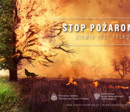 Kampania informacyjna - przeciwdziałanie nielegalnemu wypalaniu traw