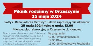 plakat wydarzenia Piknik rodzinny w Orzeszynie 2024, grafika źródło pl.freepik.com