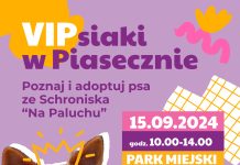 Plakat VIPsiaki w Piasecznie - poznaj i adoptuj psa ze Schroniska Na Paluchu