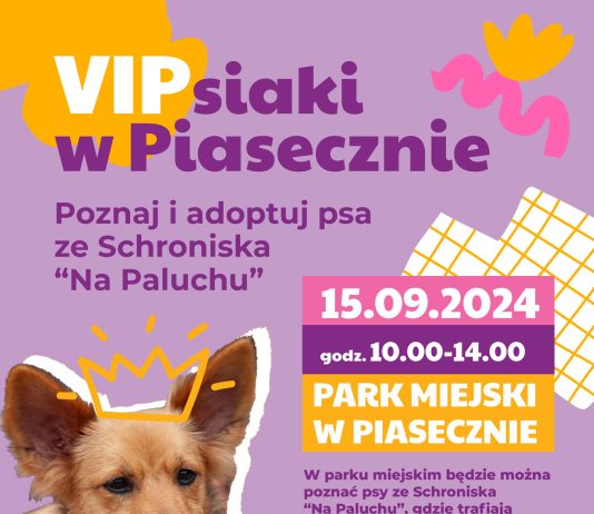 Plakat VIPsiaki w Piasecznie - poznaj i adoptuj psa ze Schroniska Na Paluchu