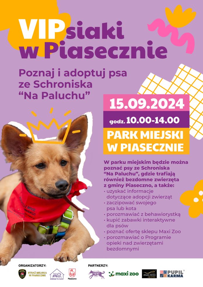 Plakat VIPsiaki w Piasecznie - poznaj i adoptuj psa ze Schroniska Na Paluchu