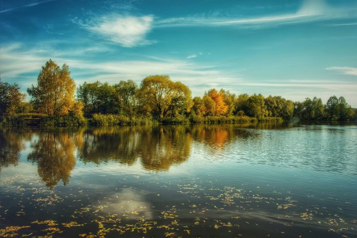 Znamy wyniki jesiennego konkursu fotograficznego zdjęcie przedstawiające staw w Zalesiu Dolnym w jesiennej scenerii