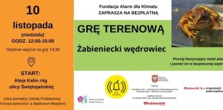 Żabieniecki wędrowiec - gra terenowa