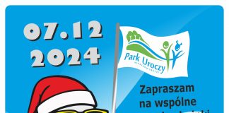 grafika Wspólne ubieranie choinki w Parku Uroczym Henryków-Urocze