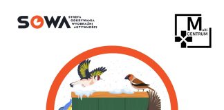 Ptasia stołówka – warsztaty familijne