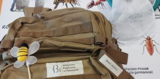 Plecak pełen przygód – czyli plenerowa biblioteka