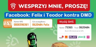 plakat Felix i Teodor
