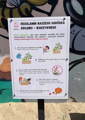 Ogródek społeczny w Piasecznie