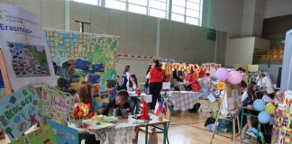 Piaseczyński Festiwal Projektów Międzynarodowych