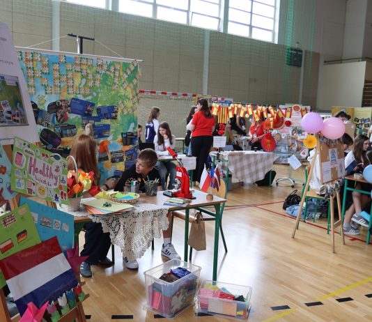 Piaseczyński Festiwal Projektów Międzynarodowych