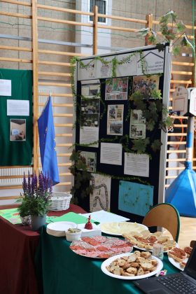 Piaseczyński Festiwal Projektów Międzynarodowych