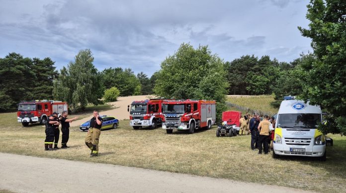 Poszukiwanie zaginionych osób – ćwiczenia służb na terenie gminy Piaseczno Poszukiwanie zaginionych osób - ćwiczenia służb na terenie gminy Piaseczno