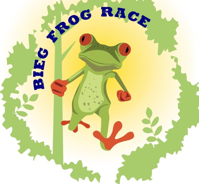 Bieg Frog Race Żabieniec
