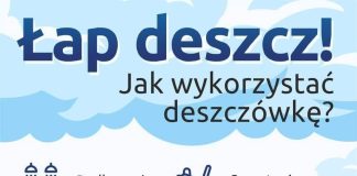 Łap deszcz! Jak wykorzystać deszczówkę?