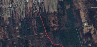 mapa pogladowa