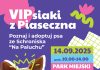 VIPsiaki z Piaseczna poznaj i adoptuj psa ze Schroniska Na Paluchu
