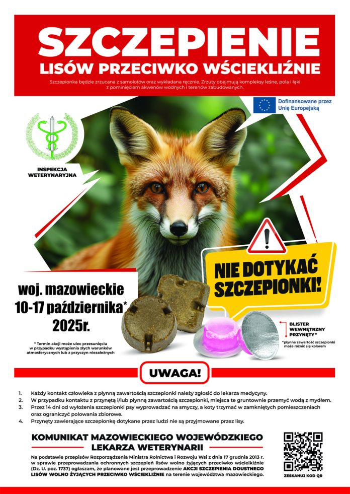 Jesienna akcja szczepienia lisów 2025