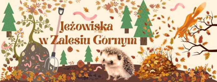 JEŻOWISKA W ZALESIU GÓRNYM