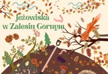 JEŻOWISKA W ZALESIU GÓRNYM