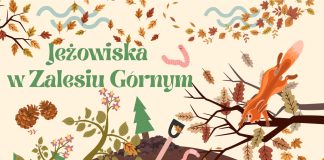 JEŻOWISKA W ZALESIU GÓRNYM