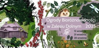 Ogrody Bioróżnorodności w Zalesiu Dolnym 2025