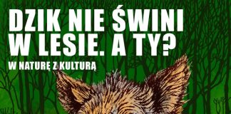 W naturę z kulturą Akcja Sprzątanie Świata 2025