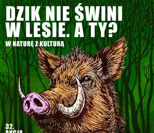 W naturę z kulturą Akcja Sprzątanie Świata 2025