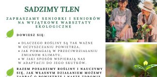 Sadzimy Tlen warsztaty ekologiczne dla seniorek i seniorów z terenu gminy Piaseczno