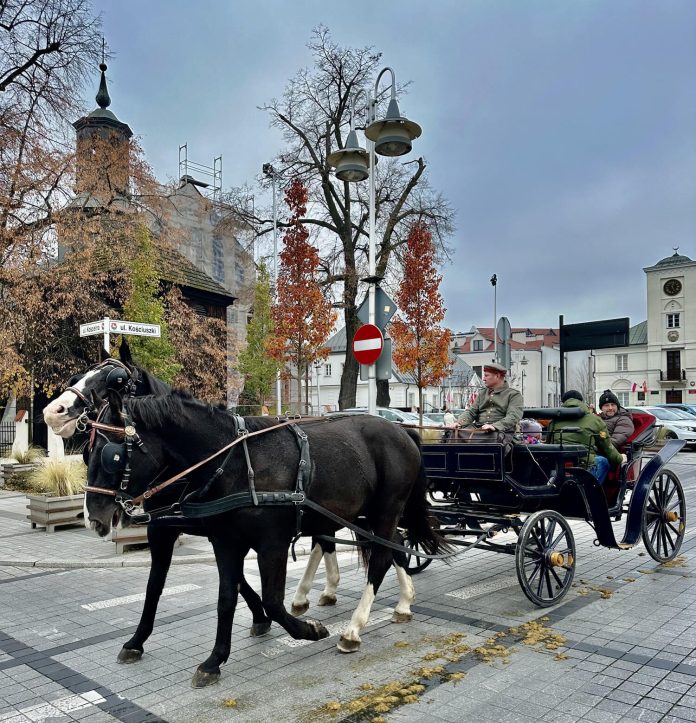 piknik niepodległościowy Wiwat Niepodległa