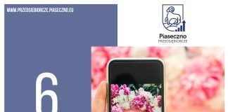 Osiągnij sukces na Instagramie szkolenie w Centrum Przedsiębiorczości w Piasecznie