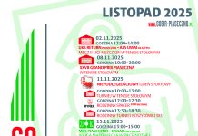 Sportowy Listopad w GOSiR Piaseczno – kalendarz imprez sportowych Sportowy Listopad w GOSiR Piaseczno - kalendarz imprez sportowych