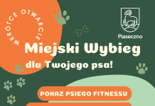 plakat z psem