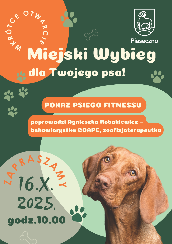 plakat z psem