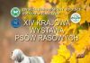 wystawa psów rasowych - plakat XIV Krajowa Wystawa Psów Rasowych w Piasecznie