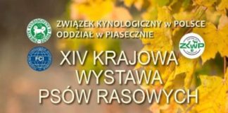 wystawa psów rasowych - plakat XIV Krajowa Wystawa Psów Rasowych w Piasecznie