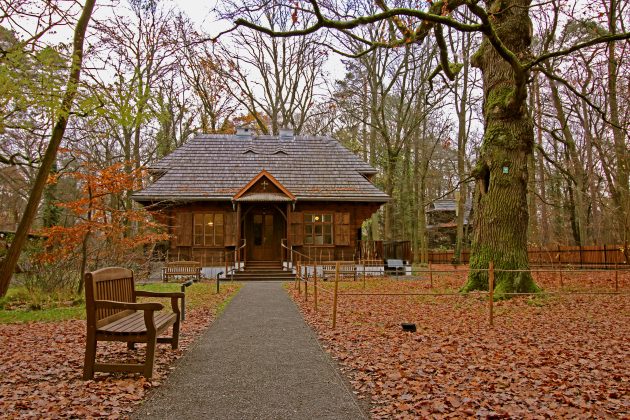 fotografia przedstawia Dom Zośki w jesiennej scenerii. Wokół opadłe liscie