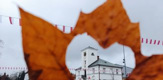 fotografia przedstawia liść z otworem w kształcie serca przez który widać ratusz