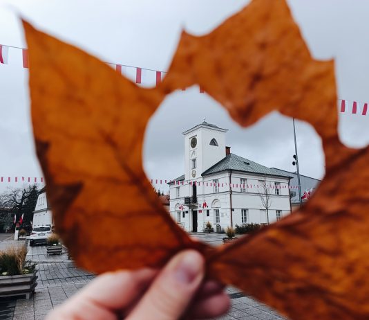 fotografia przedstawia liść z otworem w kształcie serca przez który widać ratusz