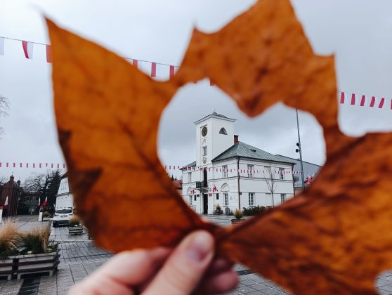 fotografia przedstawia liść z otworem w kształcie serca przez który widać ratusz