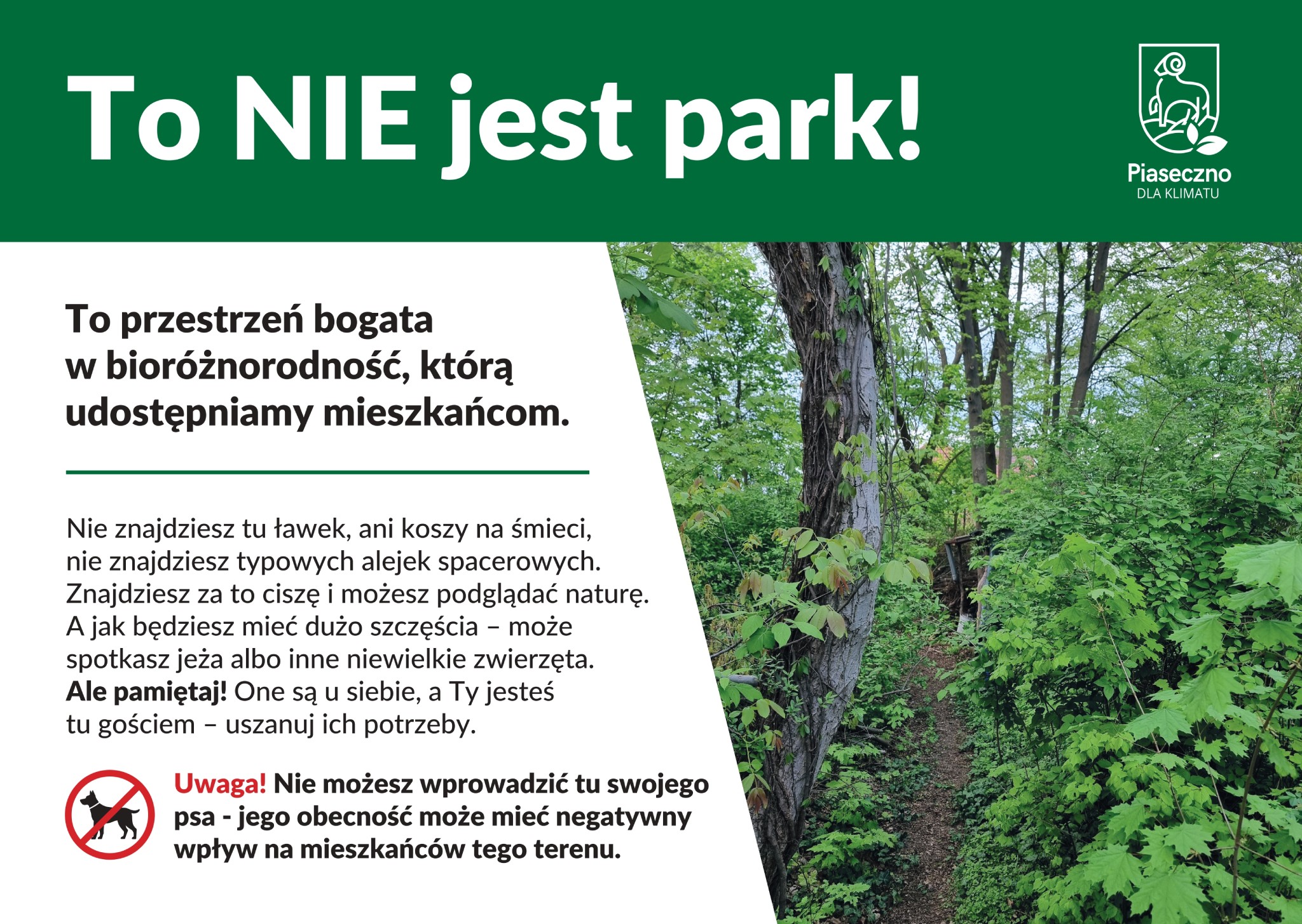 tablica informacyjna ze zdjęciem ścieżki wśród drzew