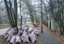 Wstrzymany odbiór bioodpadów Bioodpady odpady biodegradowalne w Piasecznie