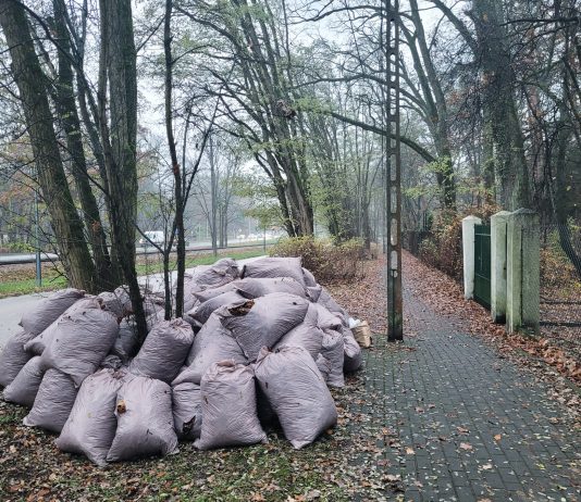 Bioodpady odpady biodegradowalne w Piasecznie