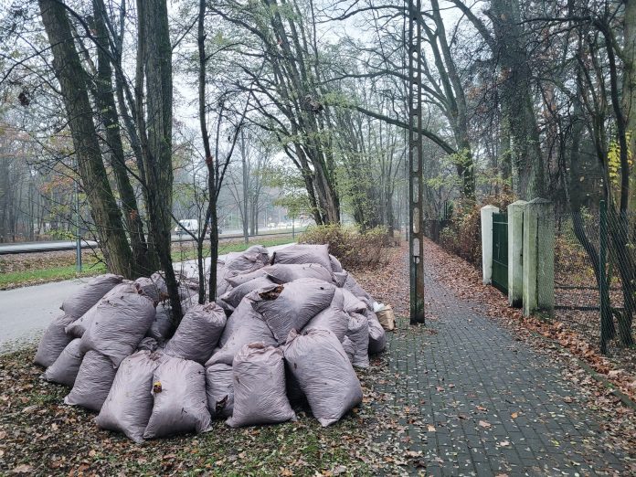 Bioodpady odpady biodegradowalne w Piasecznie