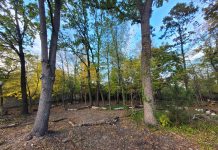 Park przy ul. Poniatowskiego w Piasecznie